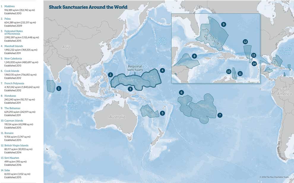 global shark sanctuaries map