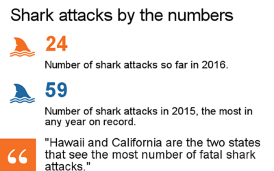 2016 shark attack file