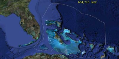 bahamas shark sanctuary