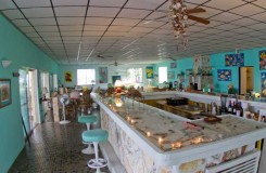 oceanic whitetip diving hotel cat island bahamas