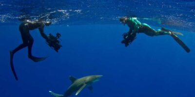 shark week epic diving oceanic whitetip