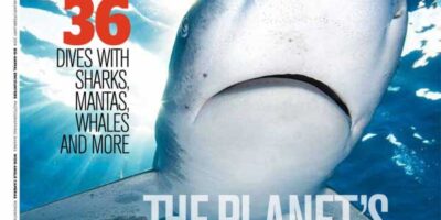 oceanic whitetip shark magazine cover
