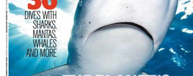 oceanic whitetip shark magazine cover