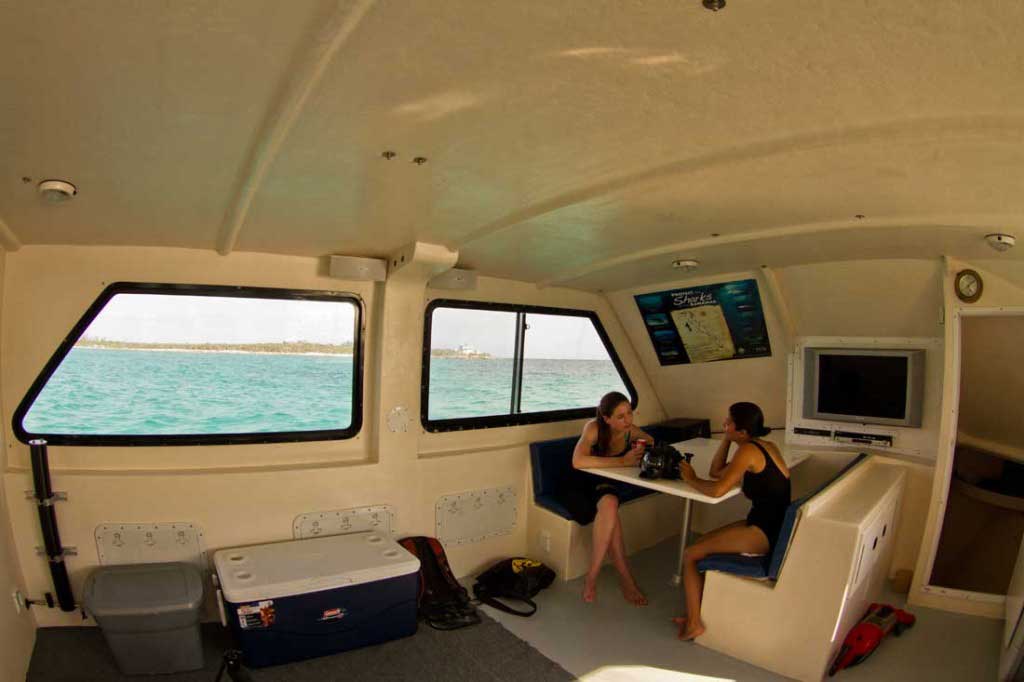 mv thresher shark diving boat cabin