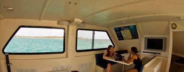 mv thresher shark diving boat cabin