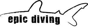 Epic Diving logo