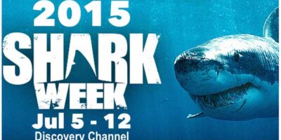 discovery channel shark week