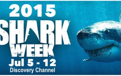 discovery channel shark week