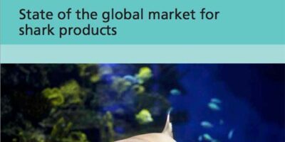 state of the global market for shark products