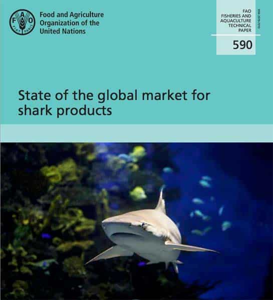 State of the Global Market for Shark Products Epic Diving