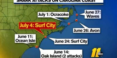 north carolina shark attacks 2015
