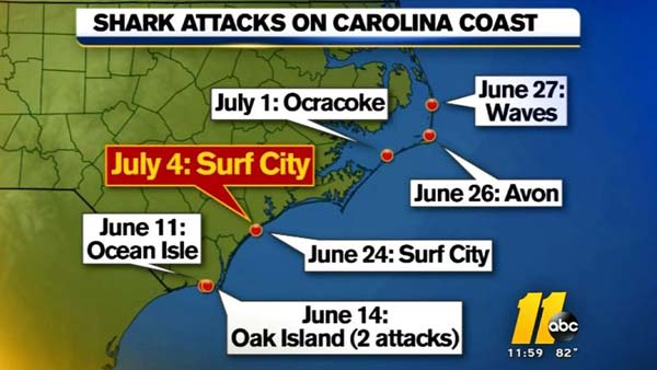 north carolina shark attacks 2015