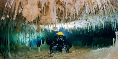 bahamas marine protected area