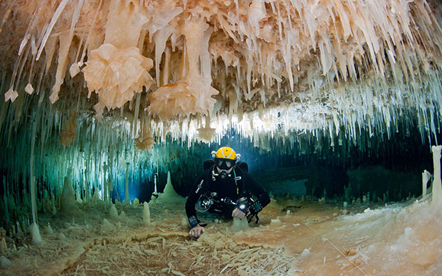 Bahamas marine protected areas