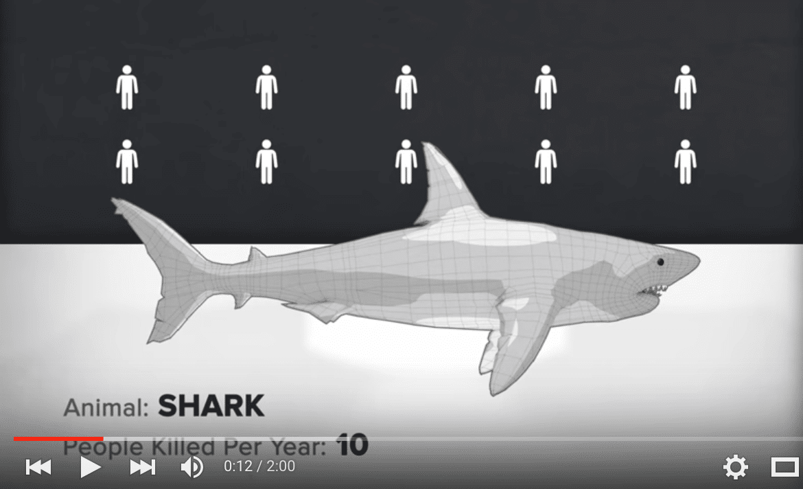 shark diving