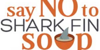 say no to shark fin soup