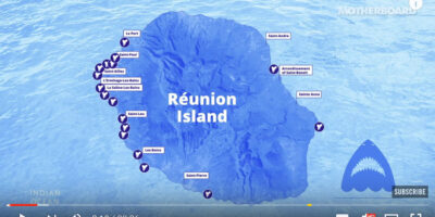 shark attacks reunion island