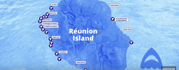 shark attacks reunion island