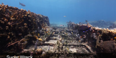 shipwreck sugar wreck grand bahama