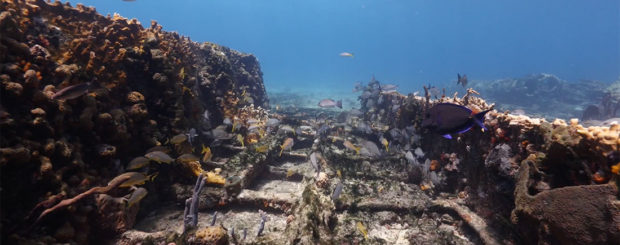 shipwreck sugar wreck grand bahama