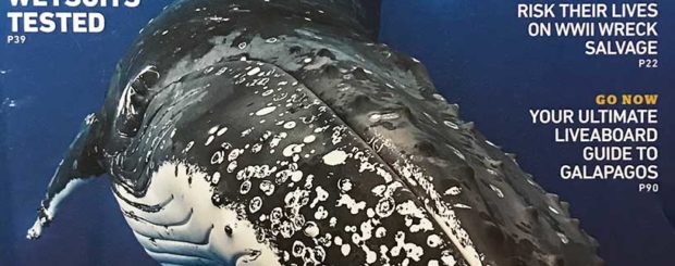 scuba diving magazine cover
