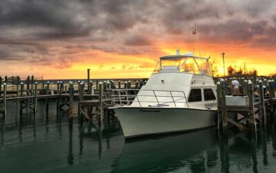 thresher dive boat bahamas