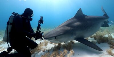 padi digital underwater photography