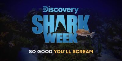 shark week 2019 discovery channel