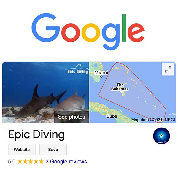 review epic diving