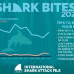 International Shark Attack File 2021 Epic Diving