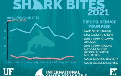 shark attack file