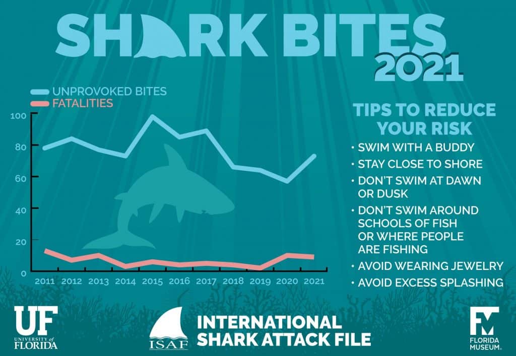 international shark attack file 2021 summary