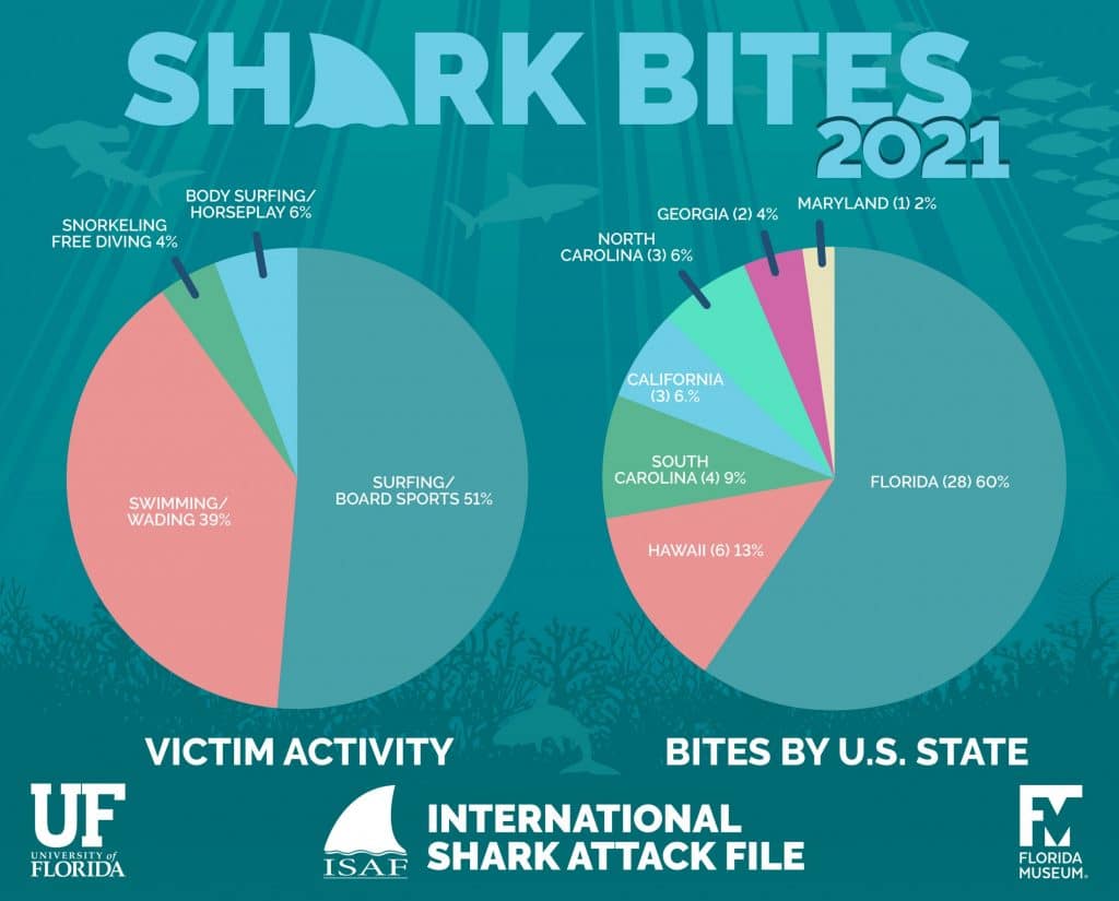 international shark attack file 2021 data