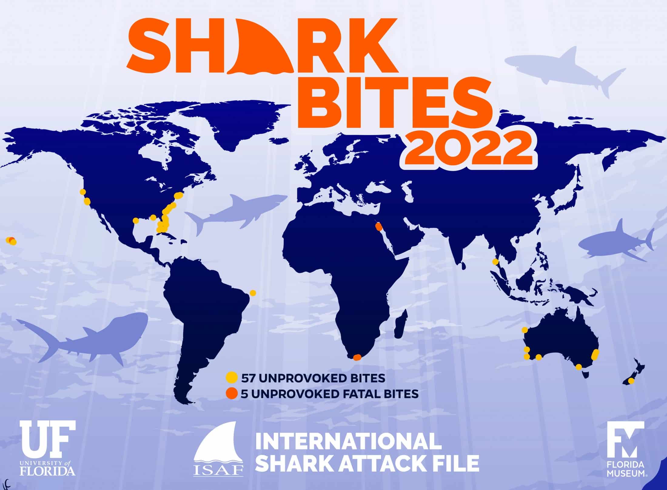 International Shark Attack File: 2022 Summary