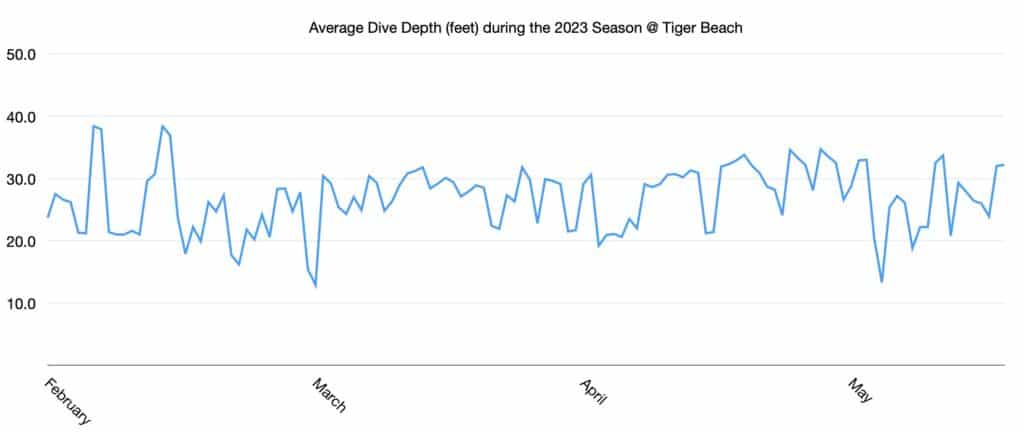 Average Depth 2023 shark diving season data