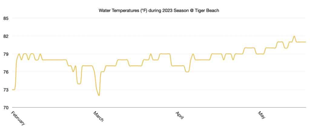 Water Temperature 2023 shark diving season data