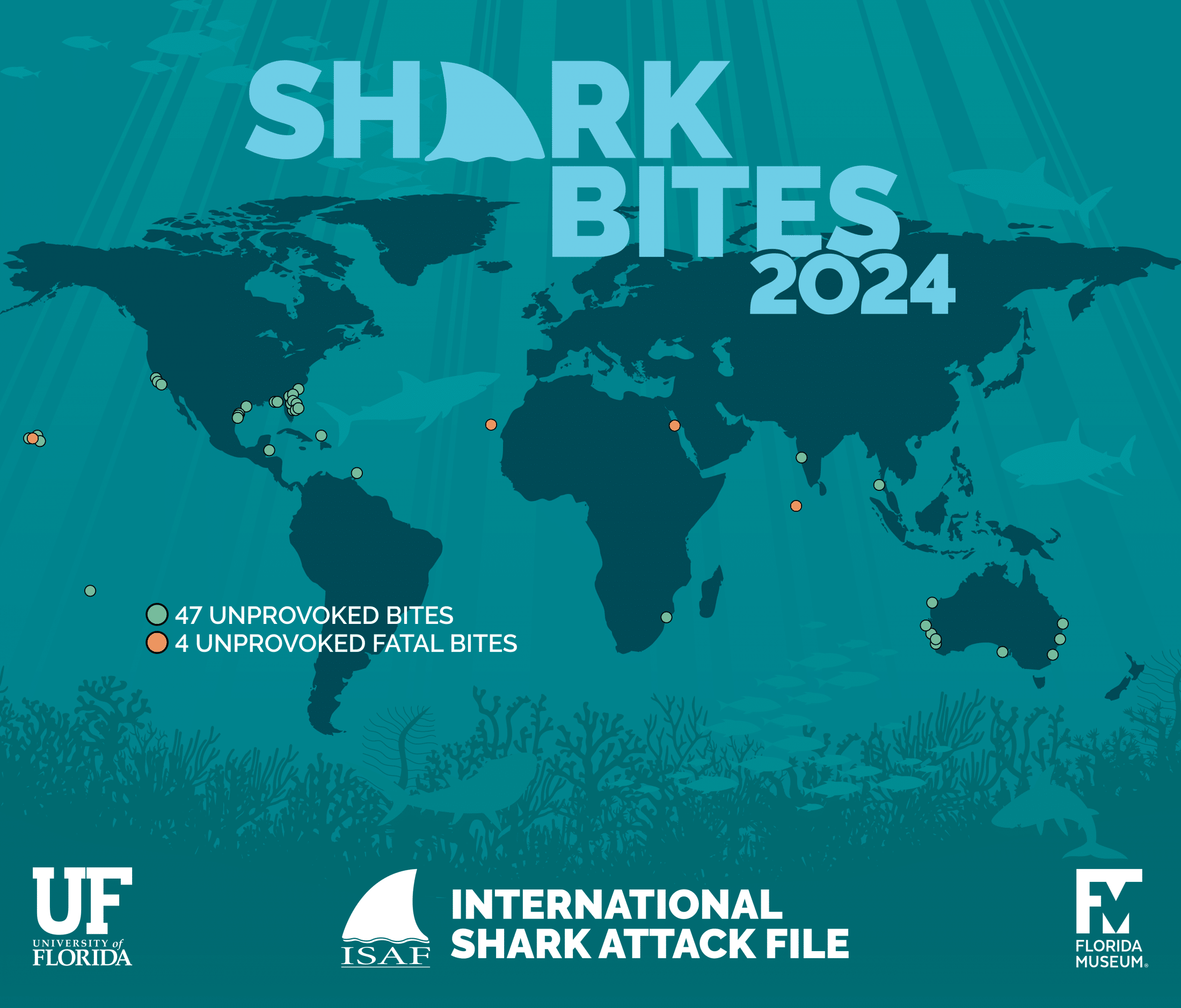 International Shark Attack File: 2024 Summary