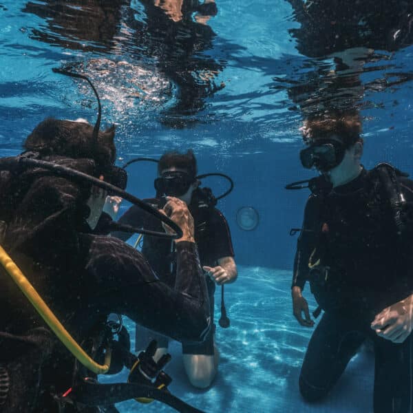 Epic Diving’s PADI Courses: From Beginner to Pro