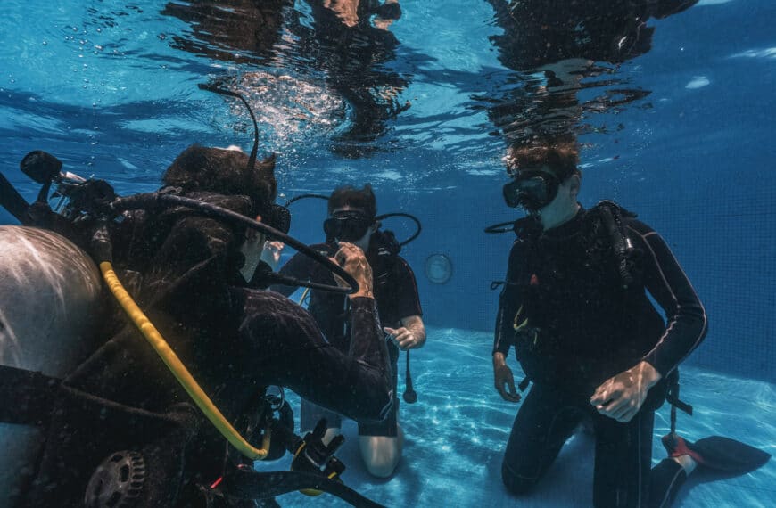 Epic Diving’s PADI Courses: From Beginner to Pro
