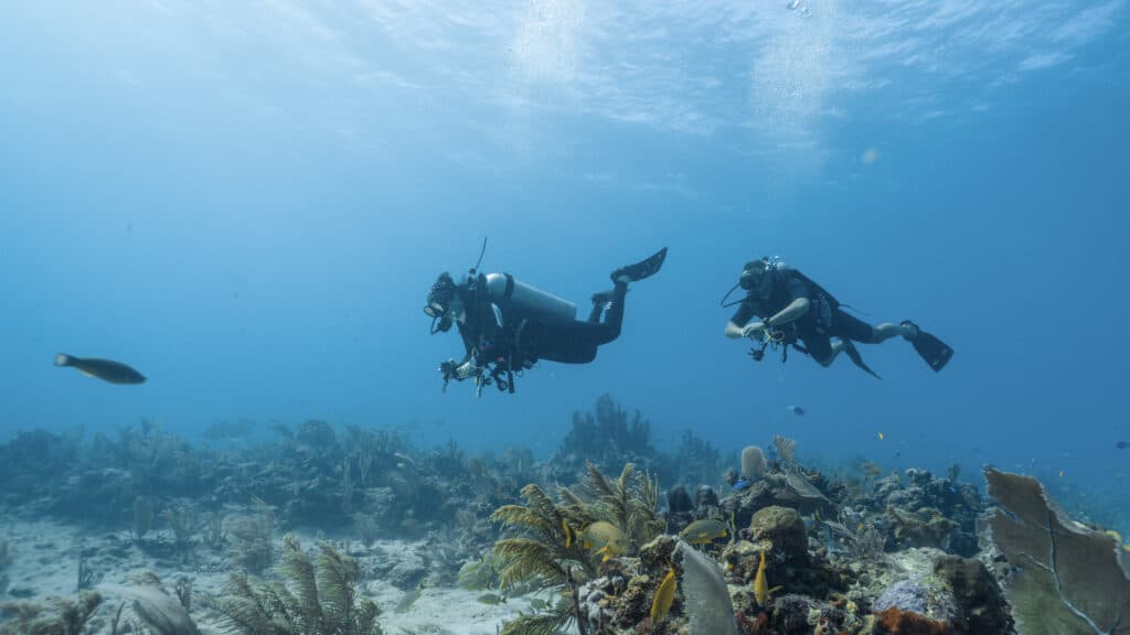 scuba diving class in the bahamas