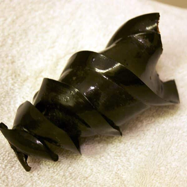 Shark Reproduction: How Sharks Mate and Give Birth