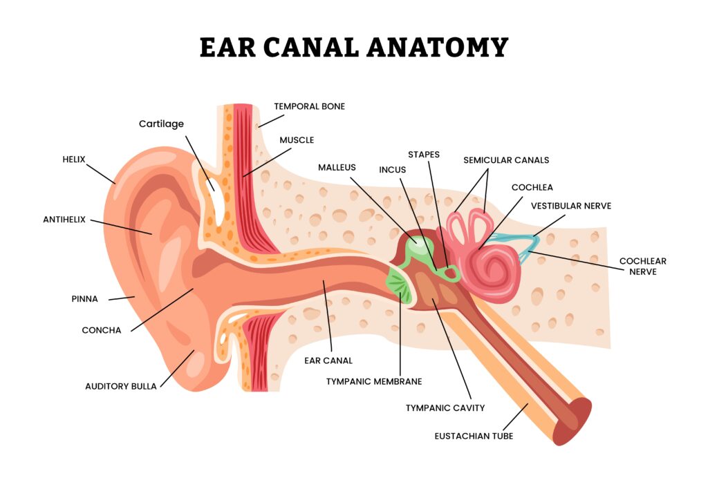 equalization in scuba diving