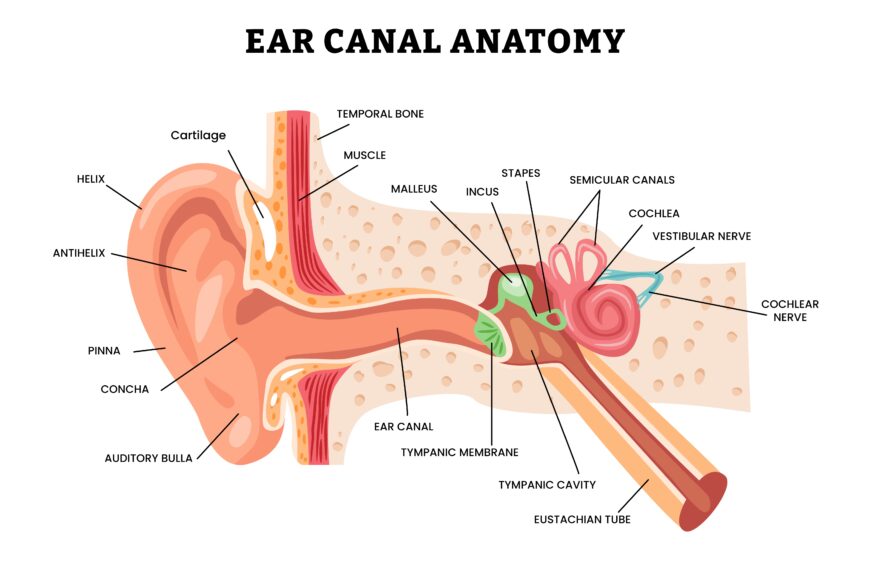 equalization in scuba diving