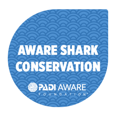 PADI AWARE Shark Conservation specialty course