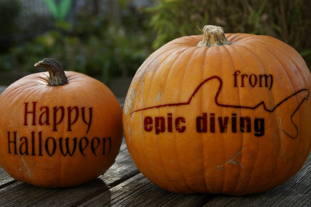 ocean myths debunked