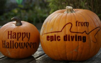 ocean myths debunked