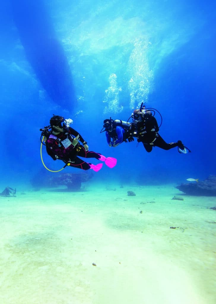 padi divemaster course