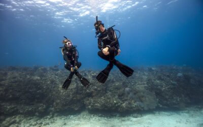 padi peak performance buoyancy specialty course