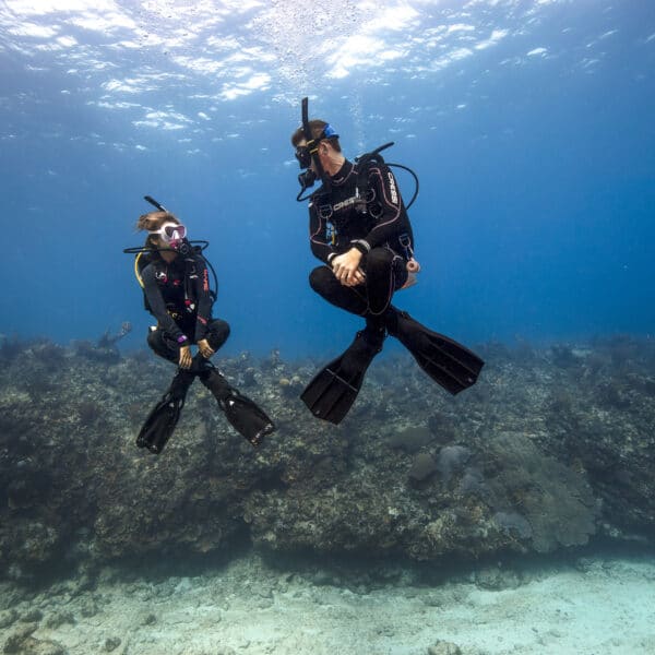 PADI Peak Performance Buoyancy Course: Protect Coral Reefs