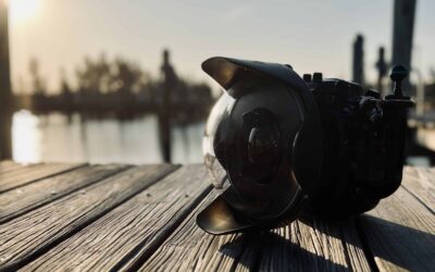 natural ambient light underwater photography